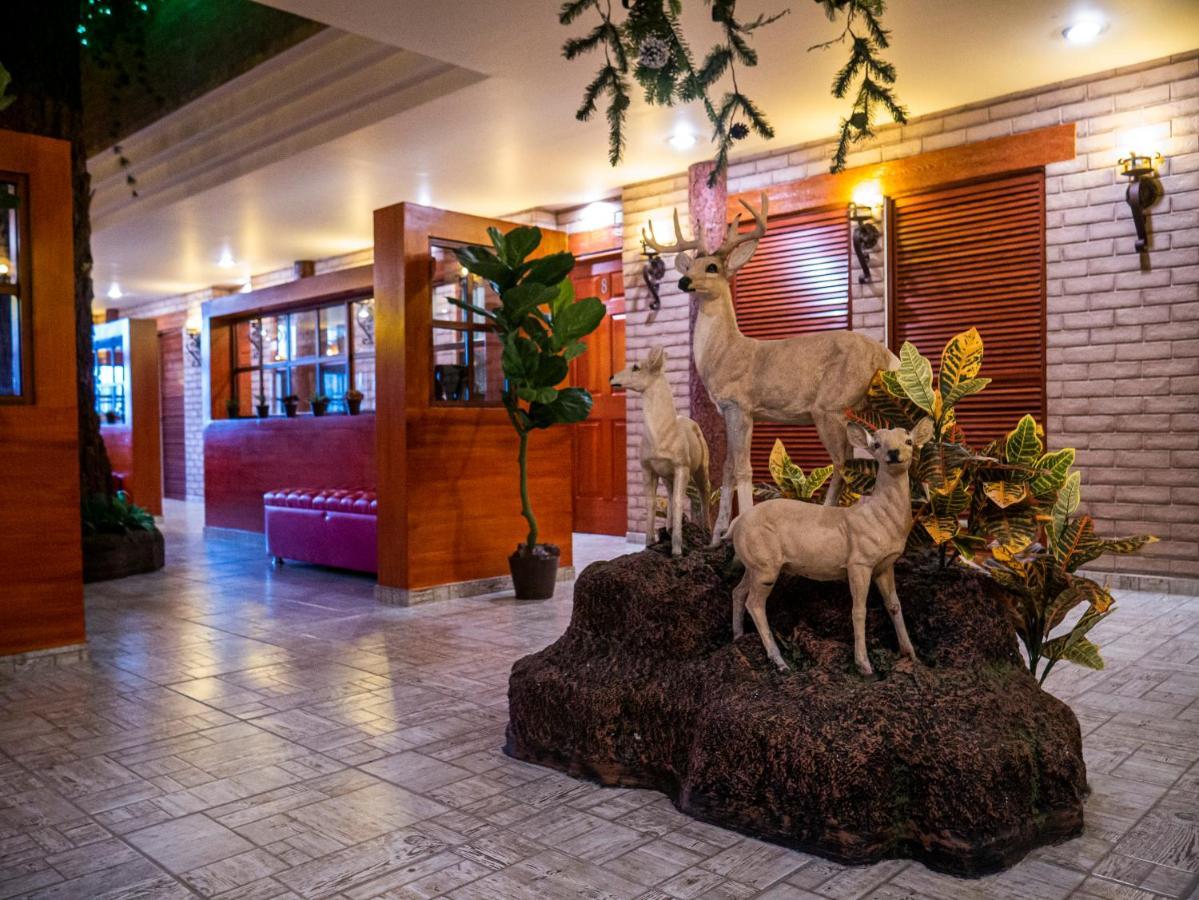 Hotel El Condor Cortazar Exterior photo